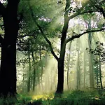 Der Valk Op De Veluwe 4*